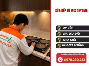 Mẫu Mới T72024