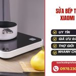 Mẫu Mới T72024 (7)