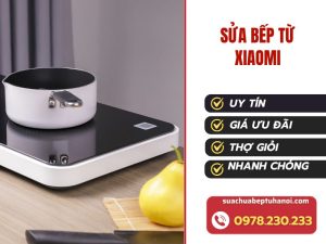 Mẫu Mới T72024 (7)