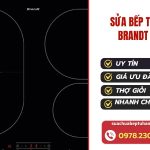 Mẫu Mới T72024 (9)